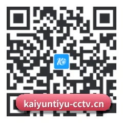 Android 系统版 二维码